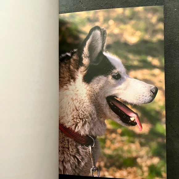 💖NEW 90s Siberian Huskies Dog Pet Owners Guidebook Hardback Color Photographs💖 - Picture 4 of 16